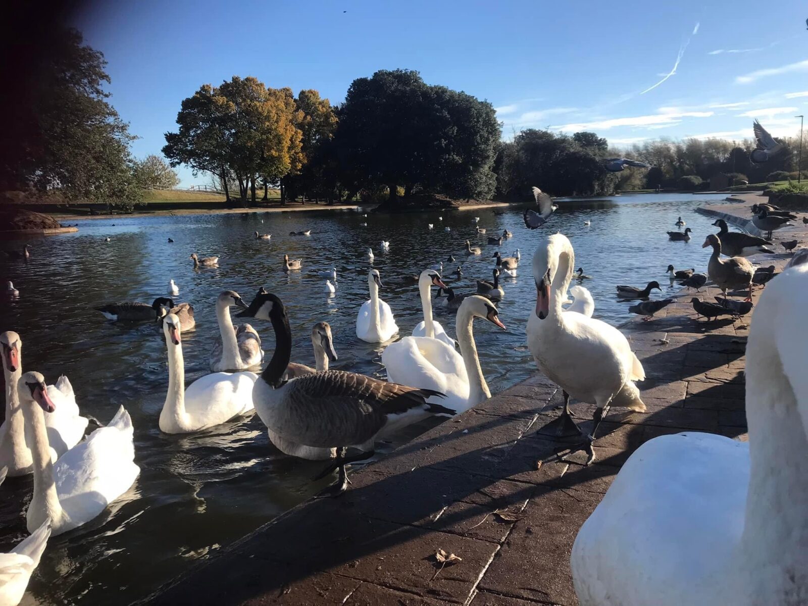 Cleethorpes Boating Lake