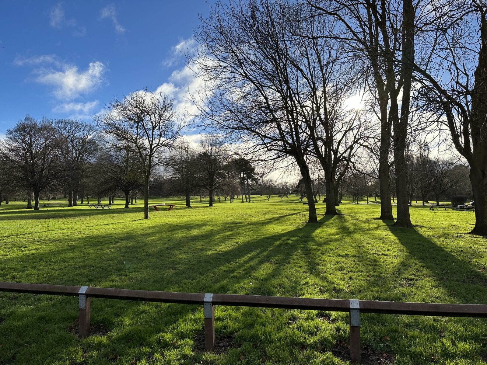 Weelsby Woods