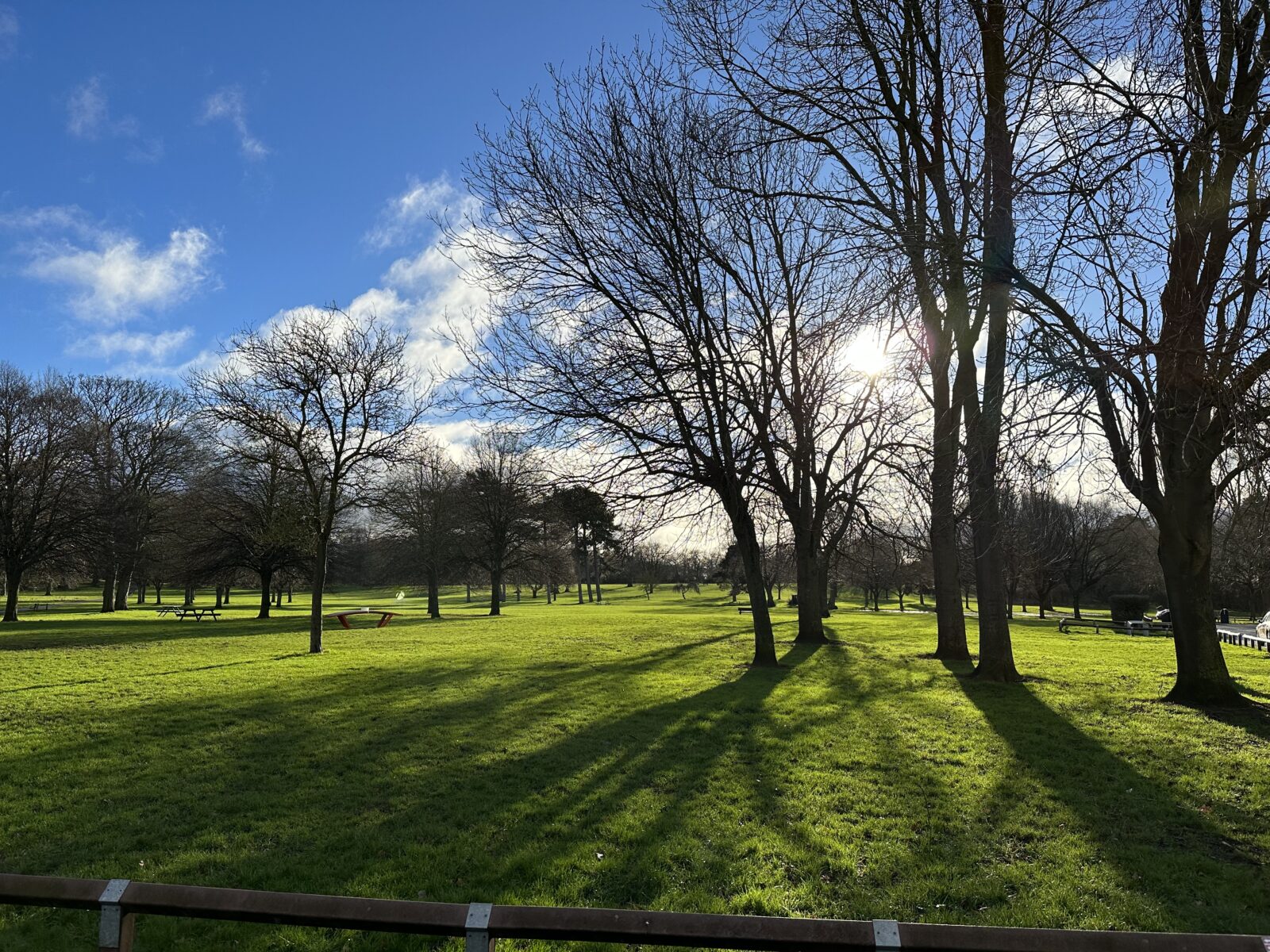 Weelsby Woods