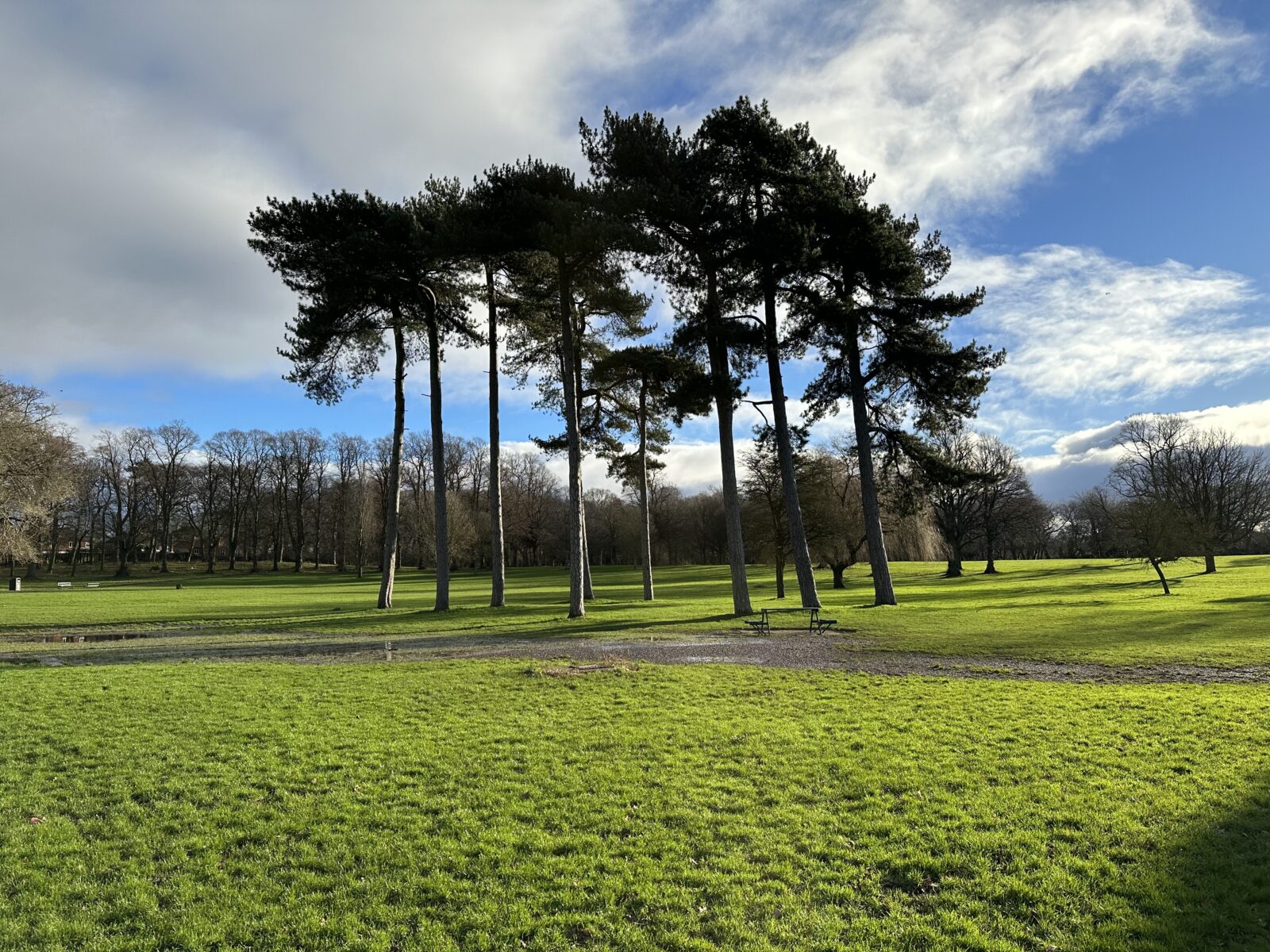 Weelsby Woods