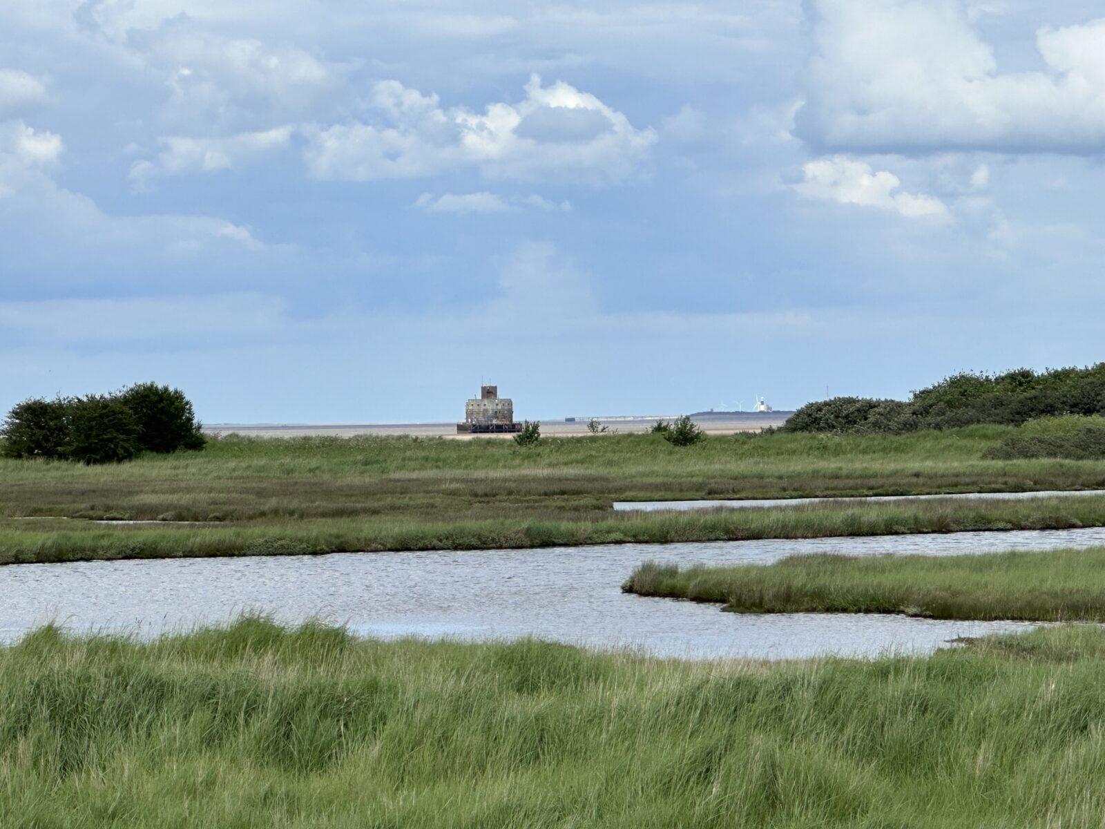 Tetney Marshes