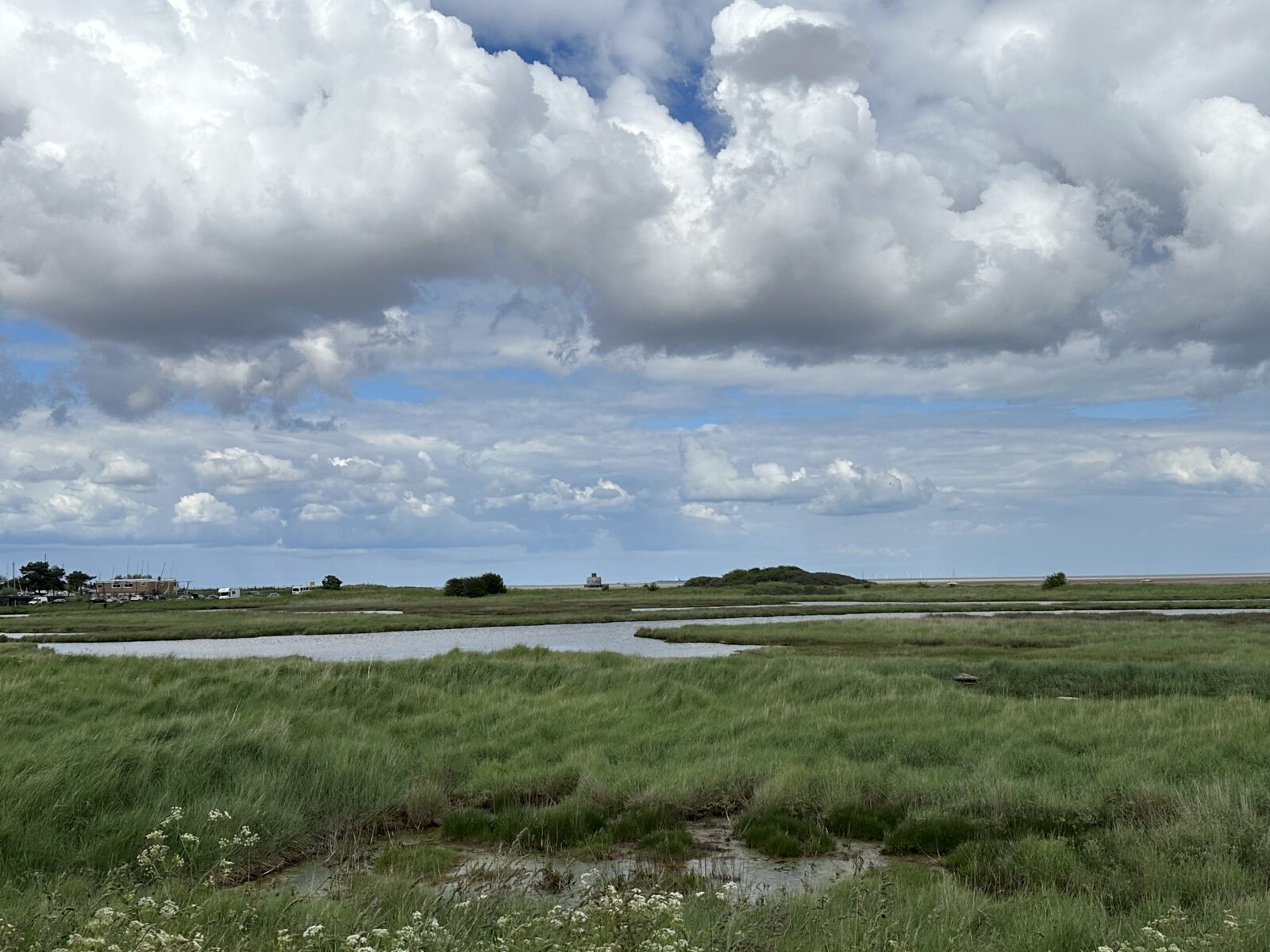 Tetney Marshes