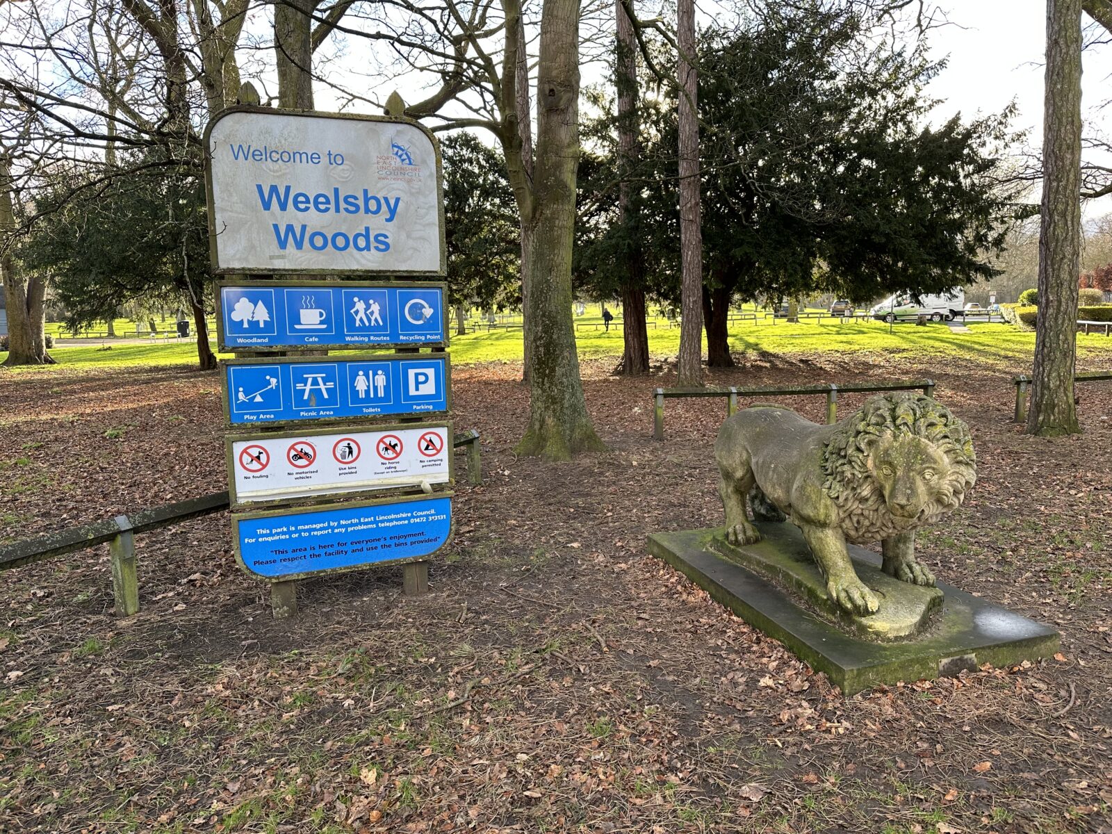 Weelsby Woods