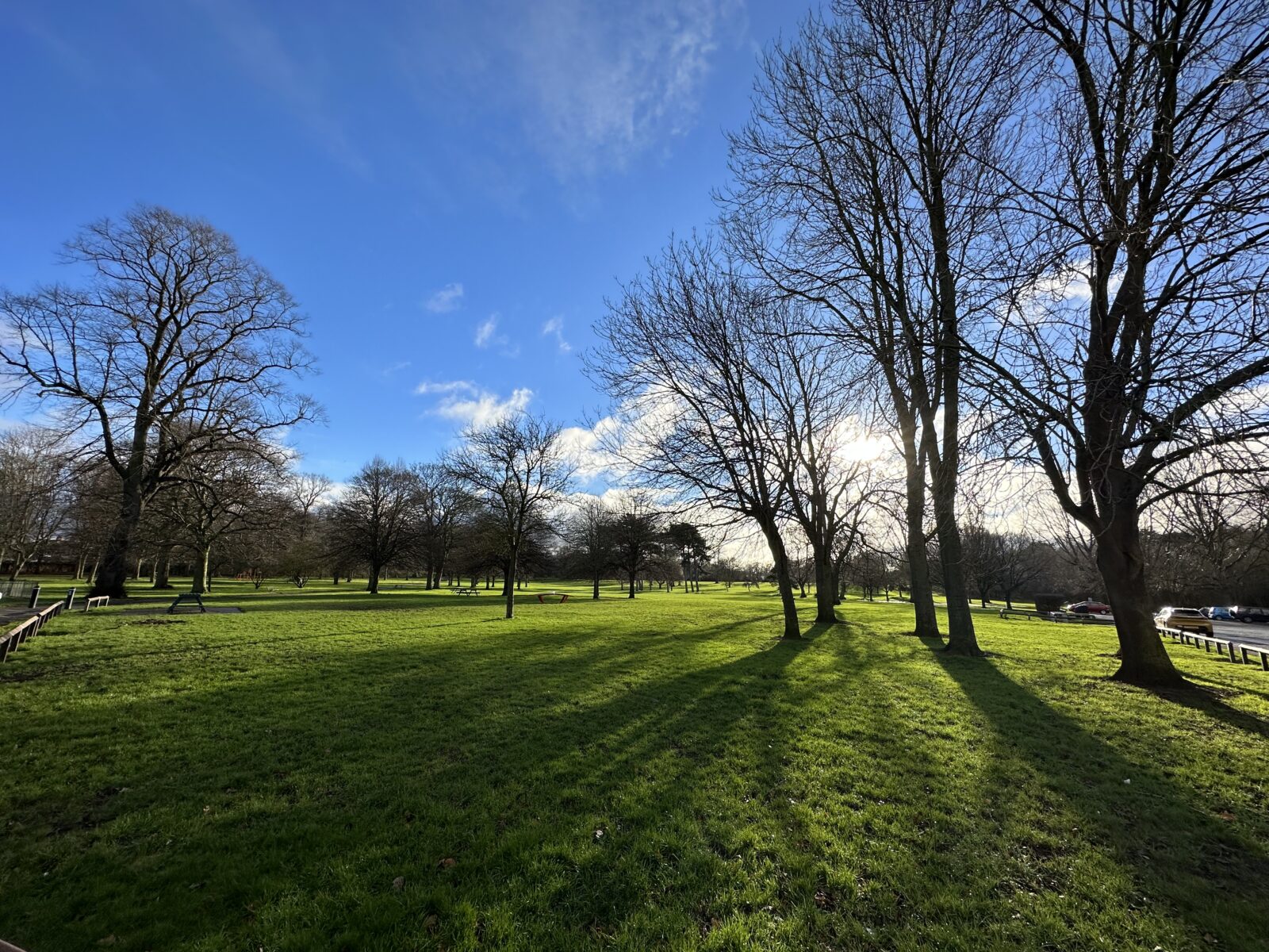 Weelsby Woods