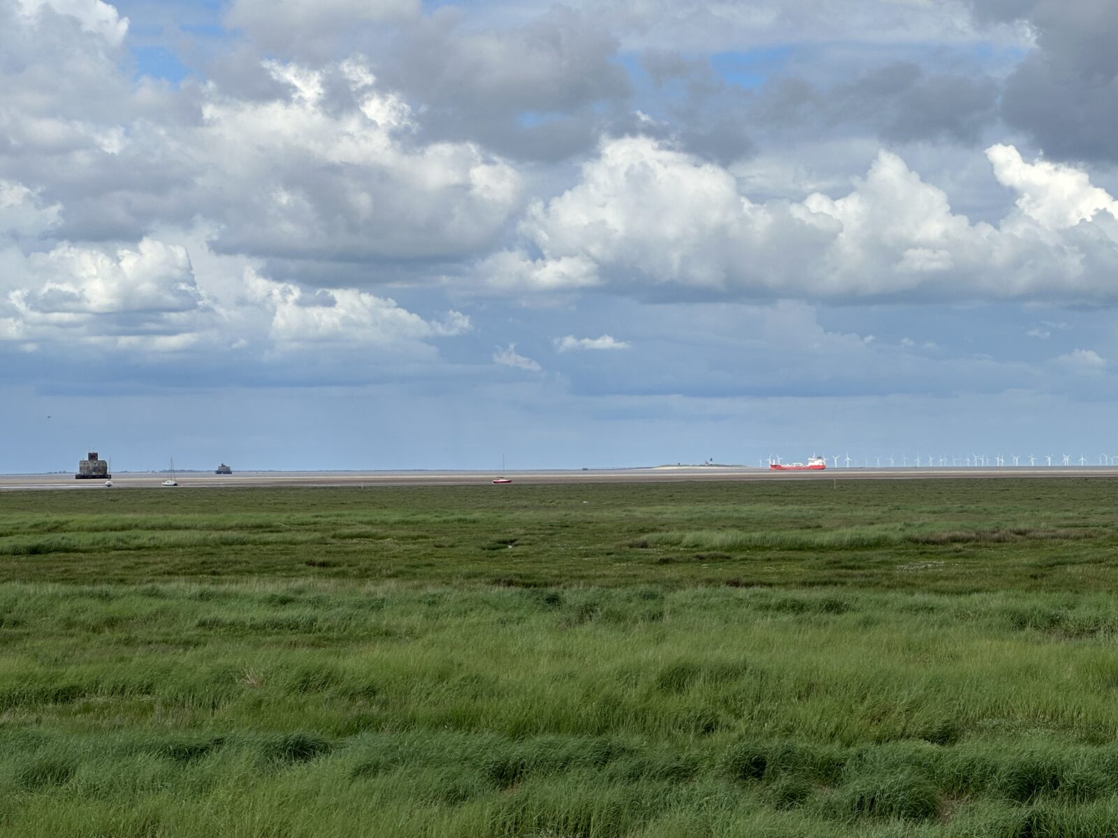 Tetney Marshes