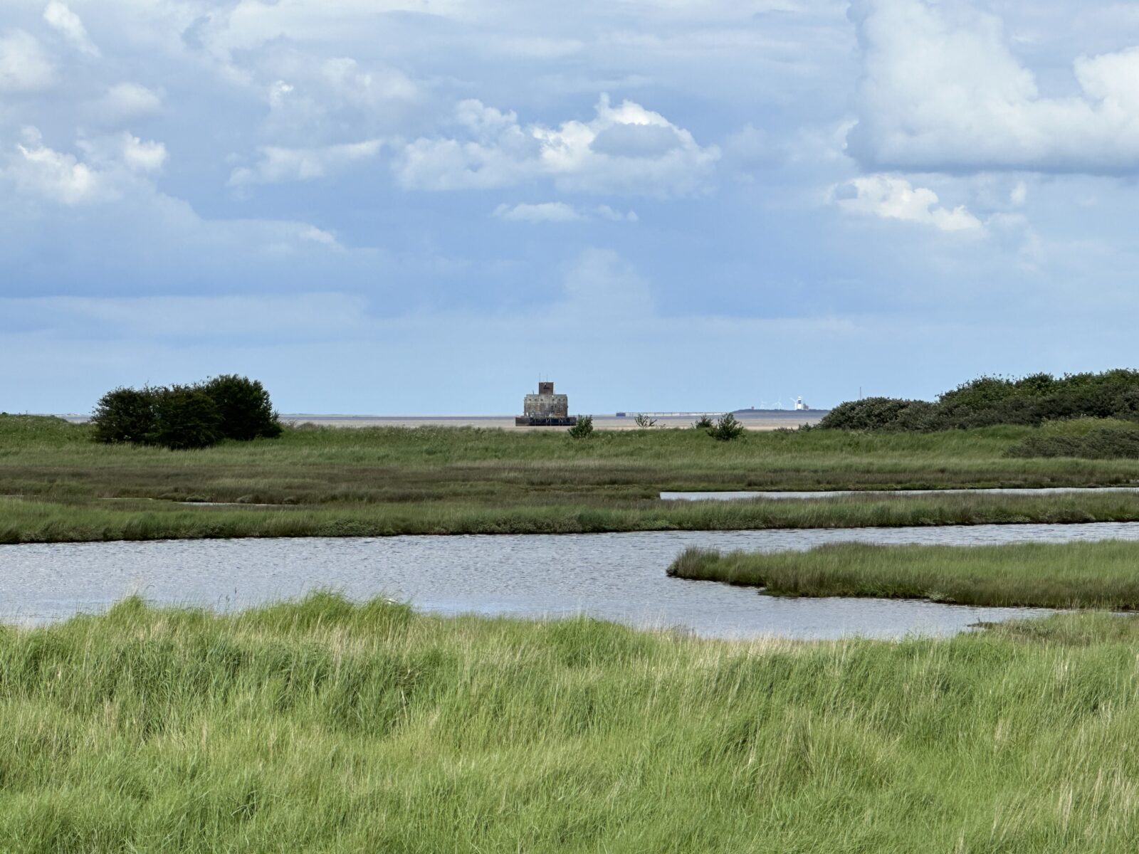 Tetney Marshes