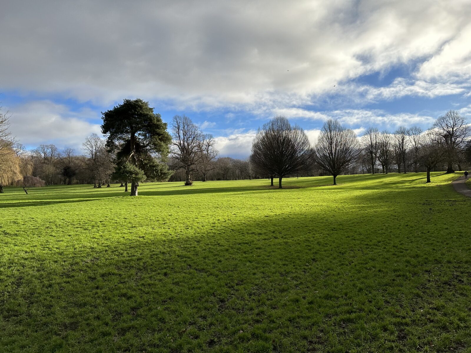 Weelsby Woods