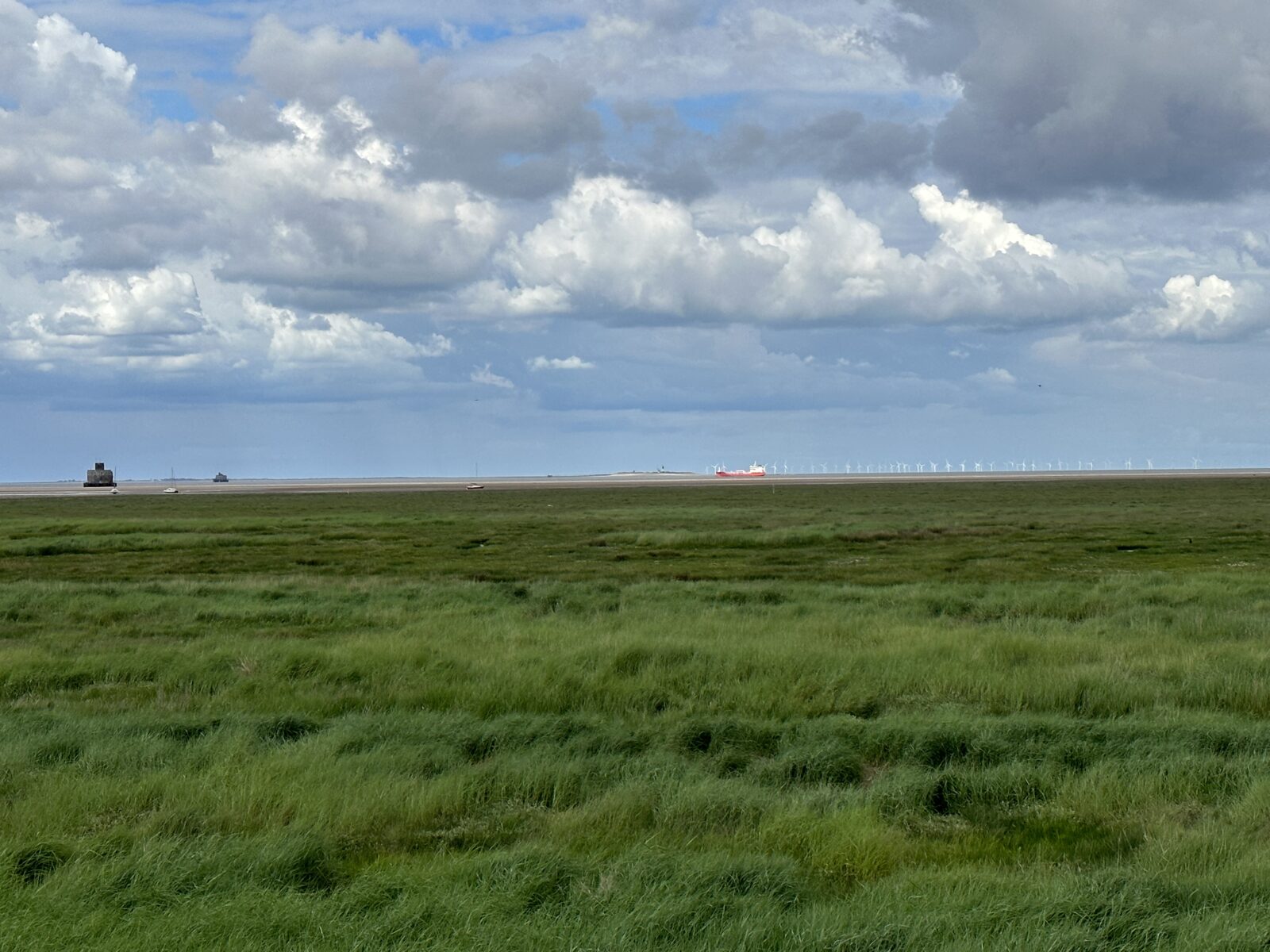 Tetney Marshes