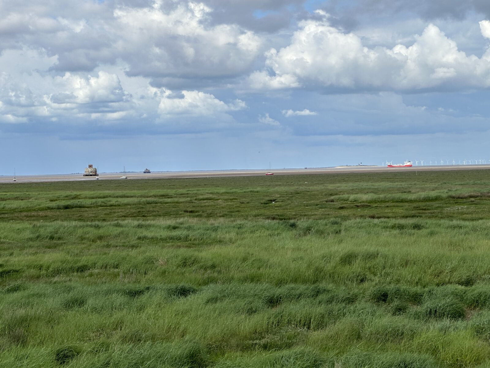 Tetney Marshes