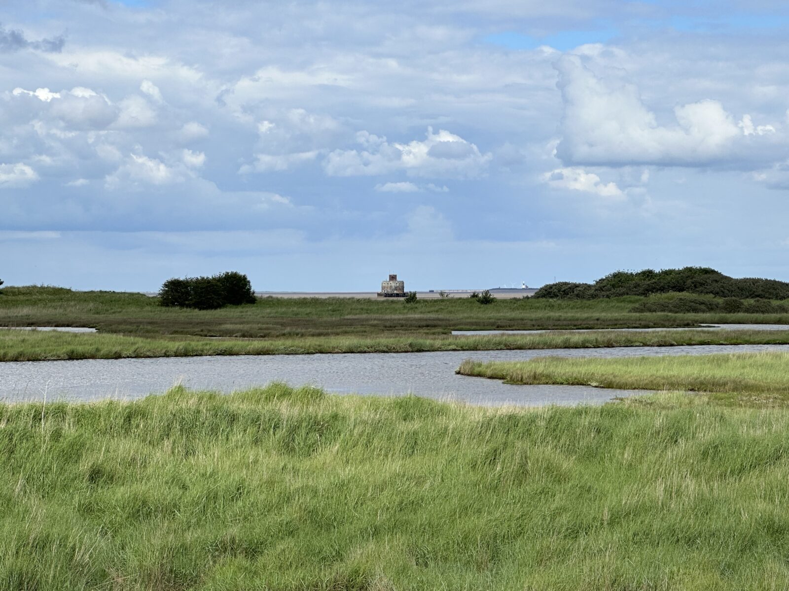 Tetney Marshes